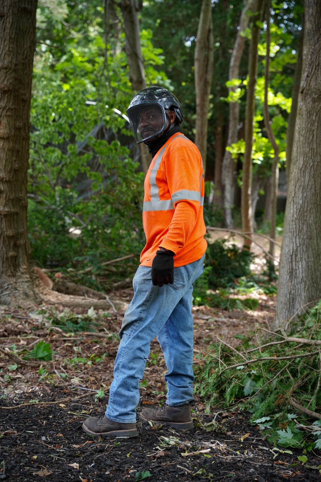 Tree service arborist in safety helmet and hi-vis surveying a job site